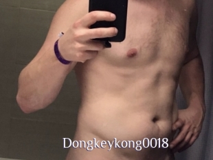 Dongkeykong0018