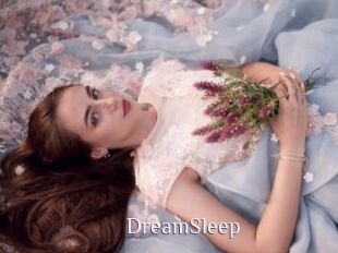 DreamSleep