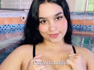 Dayanarabbit