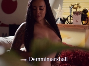 Demmimarshall