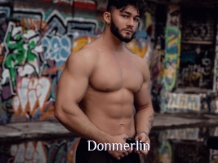 Donmerlin