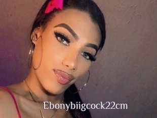 Ebonybiigcock22cm