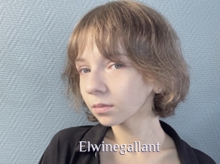 Elwinegallant