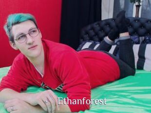 Ethanforest