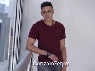 GonzaloFerrer