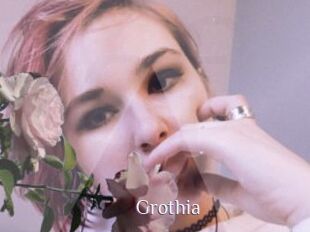 Grothia