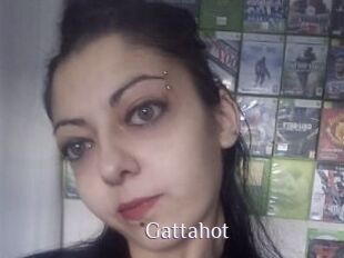 Gattahot