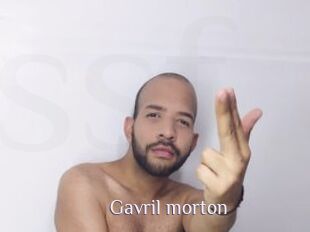 Gavril_morton