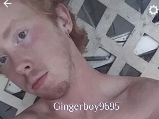 Gingerboy9695