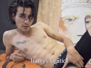 Harrys_bigstick