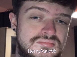 HornyMale96