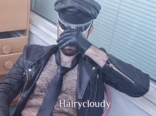 Hairycloudy