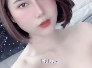 Halucy