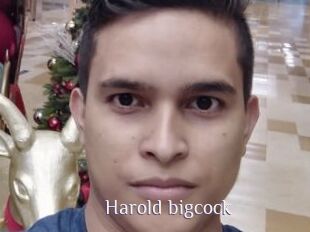 Harold_bigcock