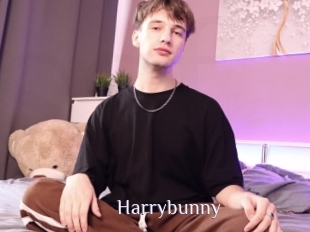 Harrybunny