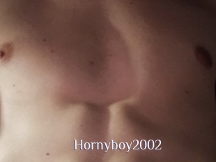 Hornyboy2002