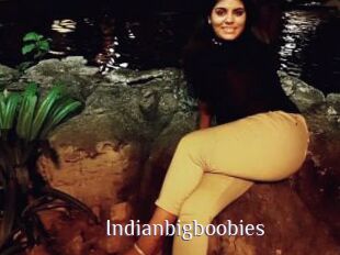 Indianbigboobies