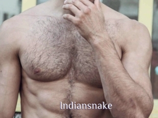 Indiansnake