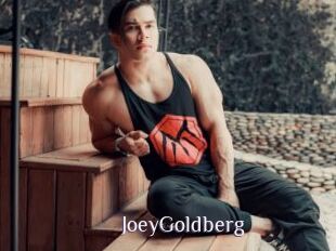 JoeyGoldberg