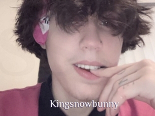 Kingsnowbunny