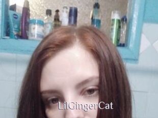 LilGingerCat