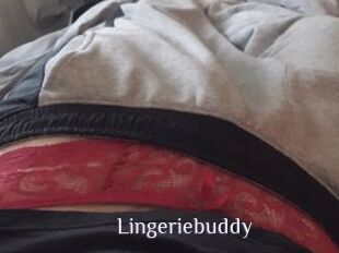 Lingeriebuddy