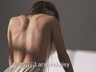 Larssondaisy