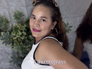 Laurengrass