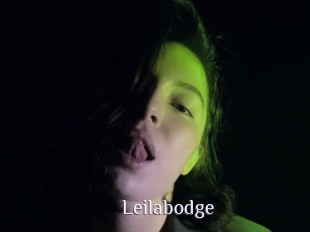 Leilabodge