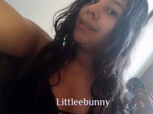 Littleebunny