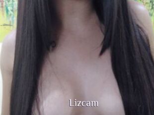 Lizcam