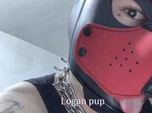 Logan_pup