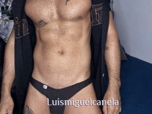 Luismiguelcanela