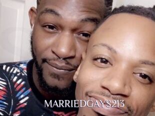 MARRIEDGAYS213