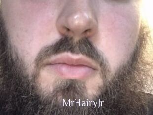 MrHairyJr