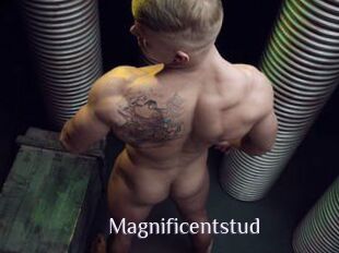 Magnificentstud