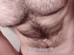 Marcobear18