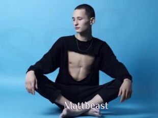 Mattbeast