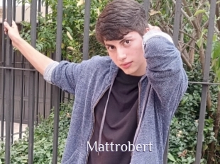 Mattrobert