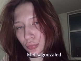 Melisagonzaled