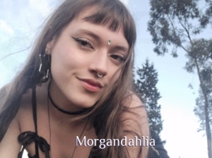 Morgandahlia