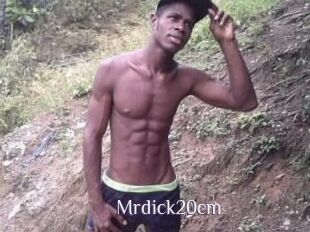 Mrdick20cm