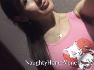 NaughtyHomeAlone