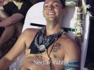 Nectar_Rabbit