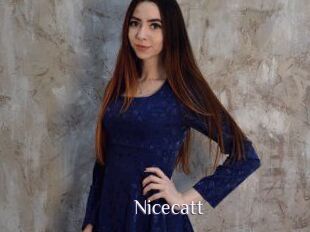 Nicecatt