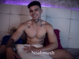 Noahmush