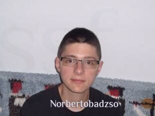 Norbertobadzso