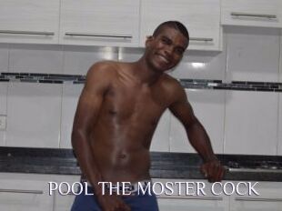 POOL_THE_MOSTER_COCK