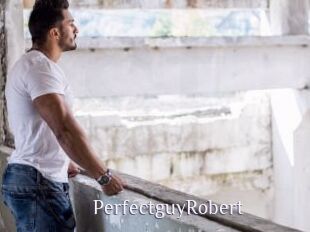 PerfectguyRobert