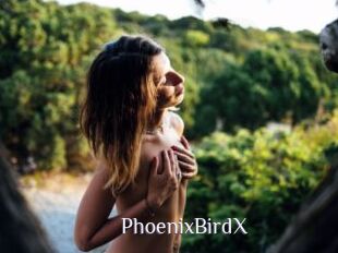 PhoenixBirdX